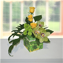 https://bonovo.isisflor.com/fileuploads/Produtos/Composições Florais/thumb__Isisflor_Verde_Natura_01.png